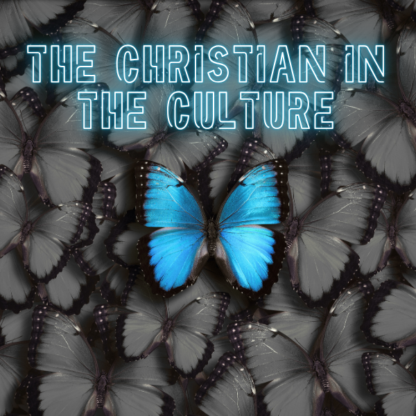 Instructions For Christian Living